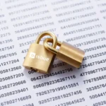 Seguridad de datos en entornos ERP